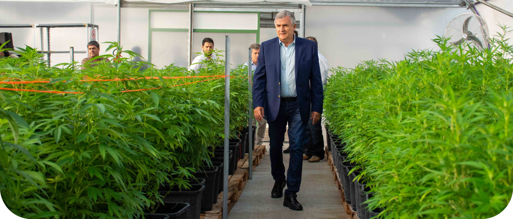 eje 9_portada_cannava_1