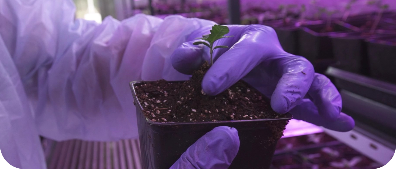 eje 9_portada_cannava_2